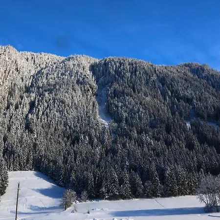 أبارت-غارني ألبيفيتا 3* مايرهوفن