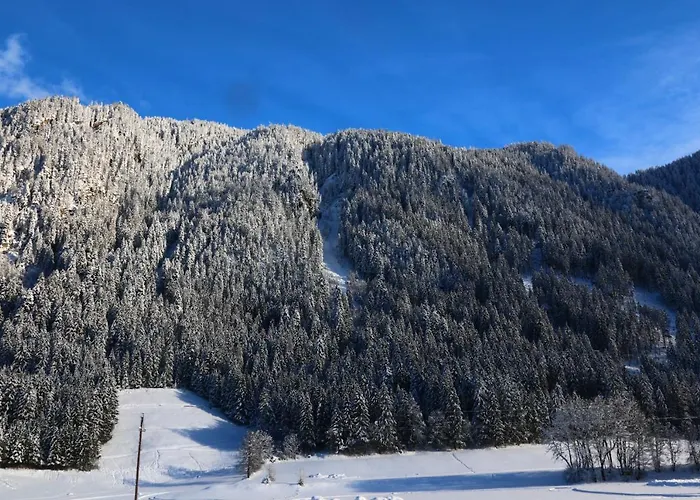 Apart-garni Alpevita 3* Mayrhofen