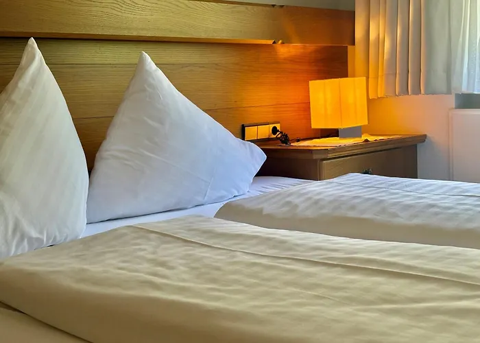 Apart-garni Alpevita Gasthof 3*