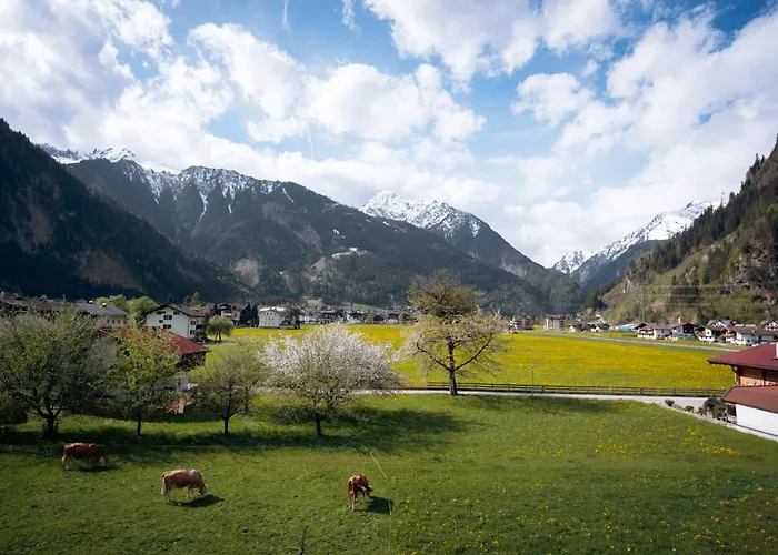 Gasthof Apart-garni Alpevita 3*