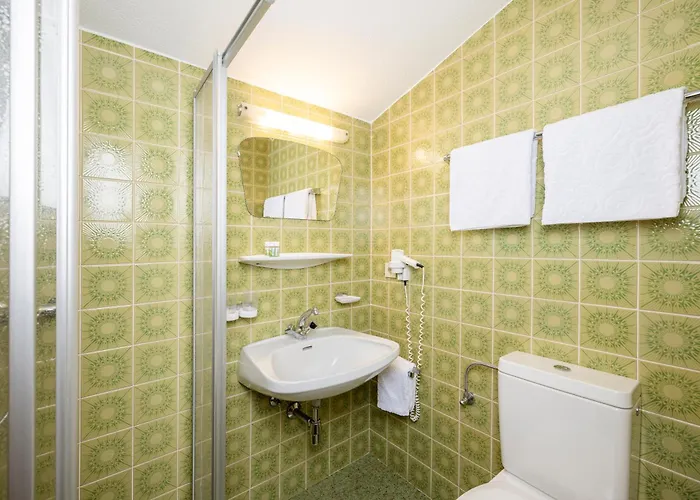 Apart-garni Alpevita Gasthof Mayrhofen